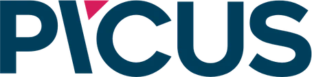Picus Security logosu